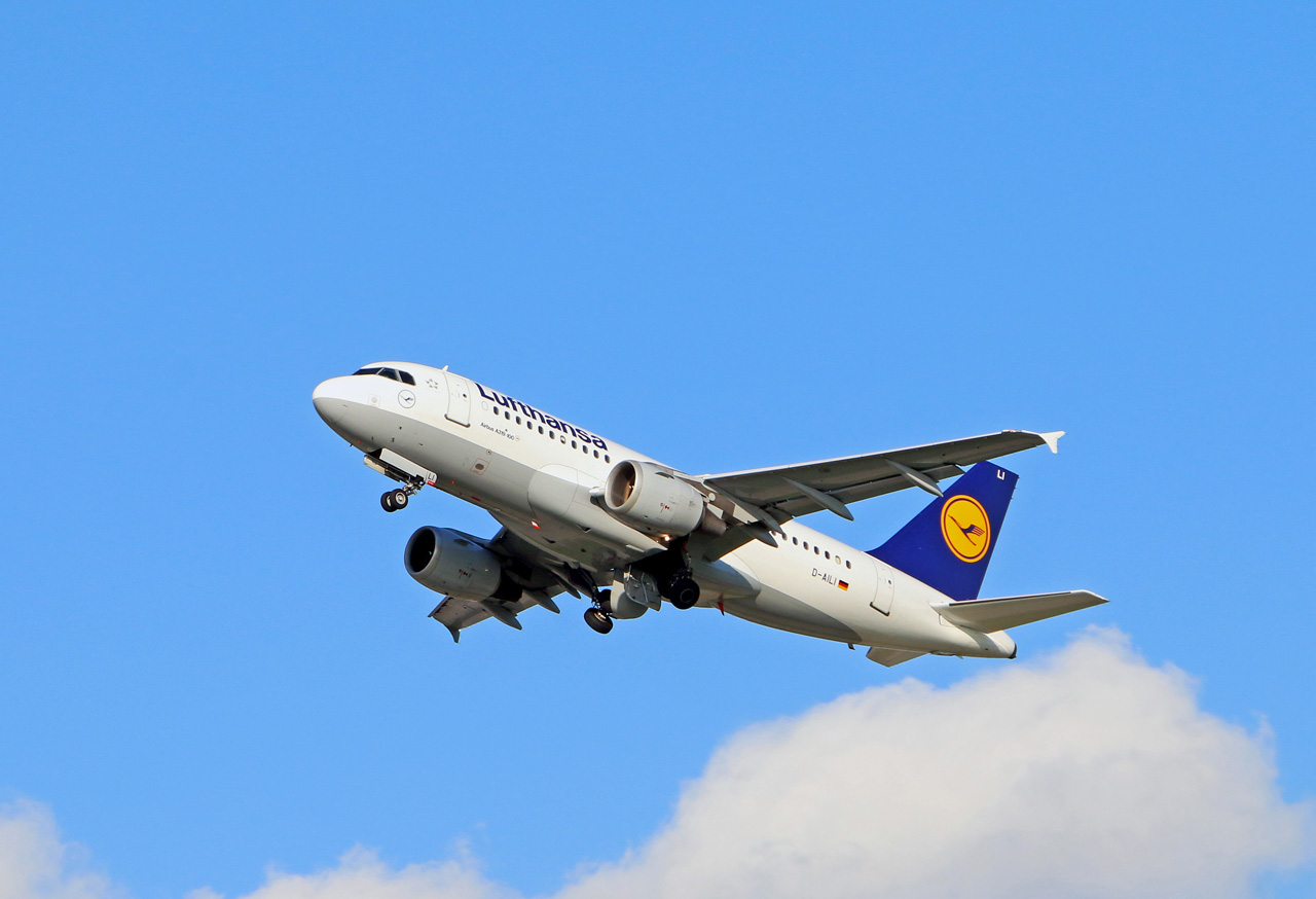 D-AILI