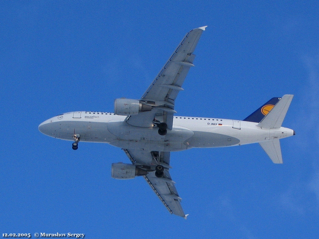 D-AILY