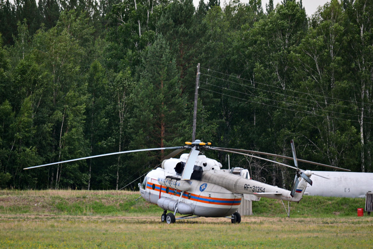 RF-31354
