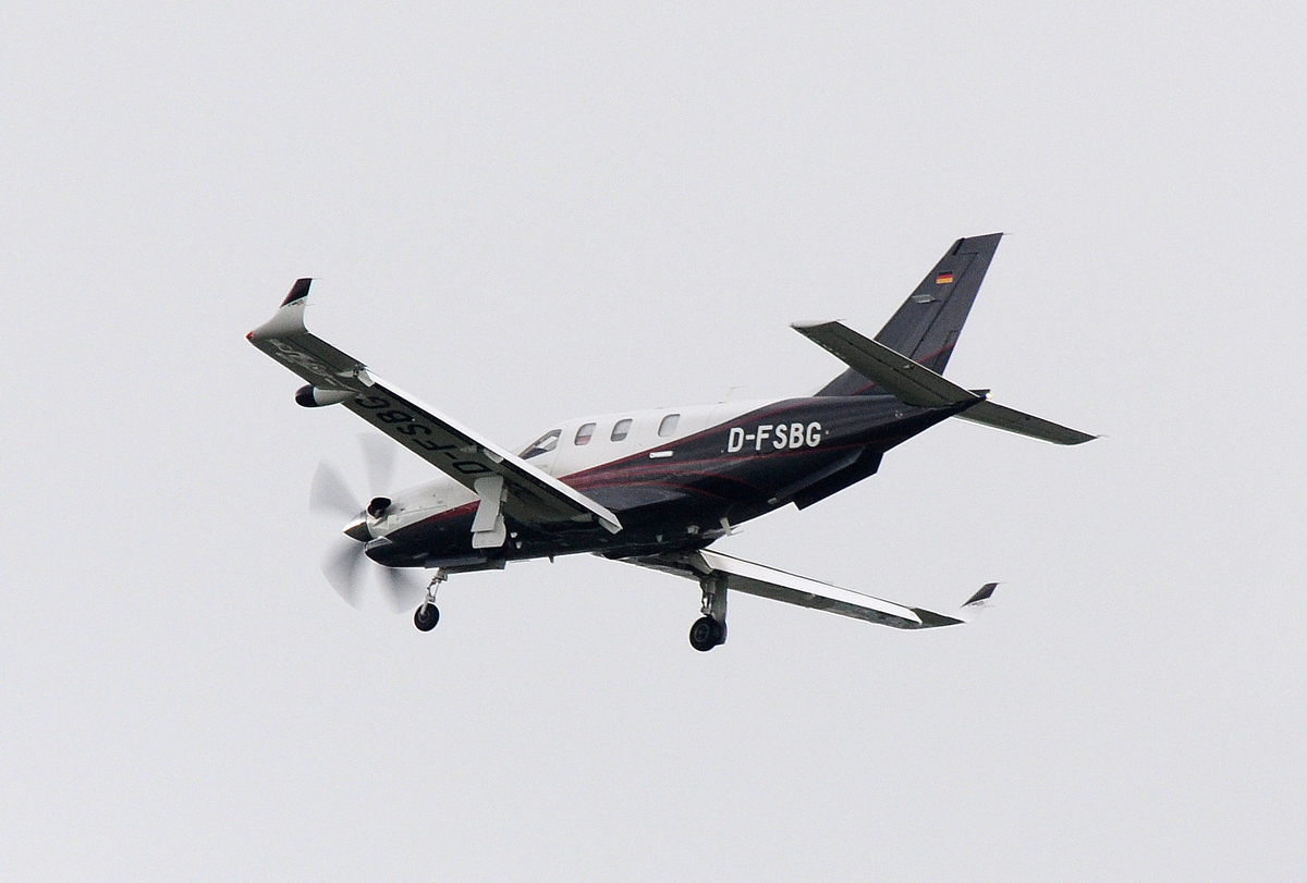 D-FSBG