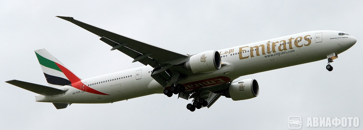 A6-ECO