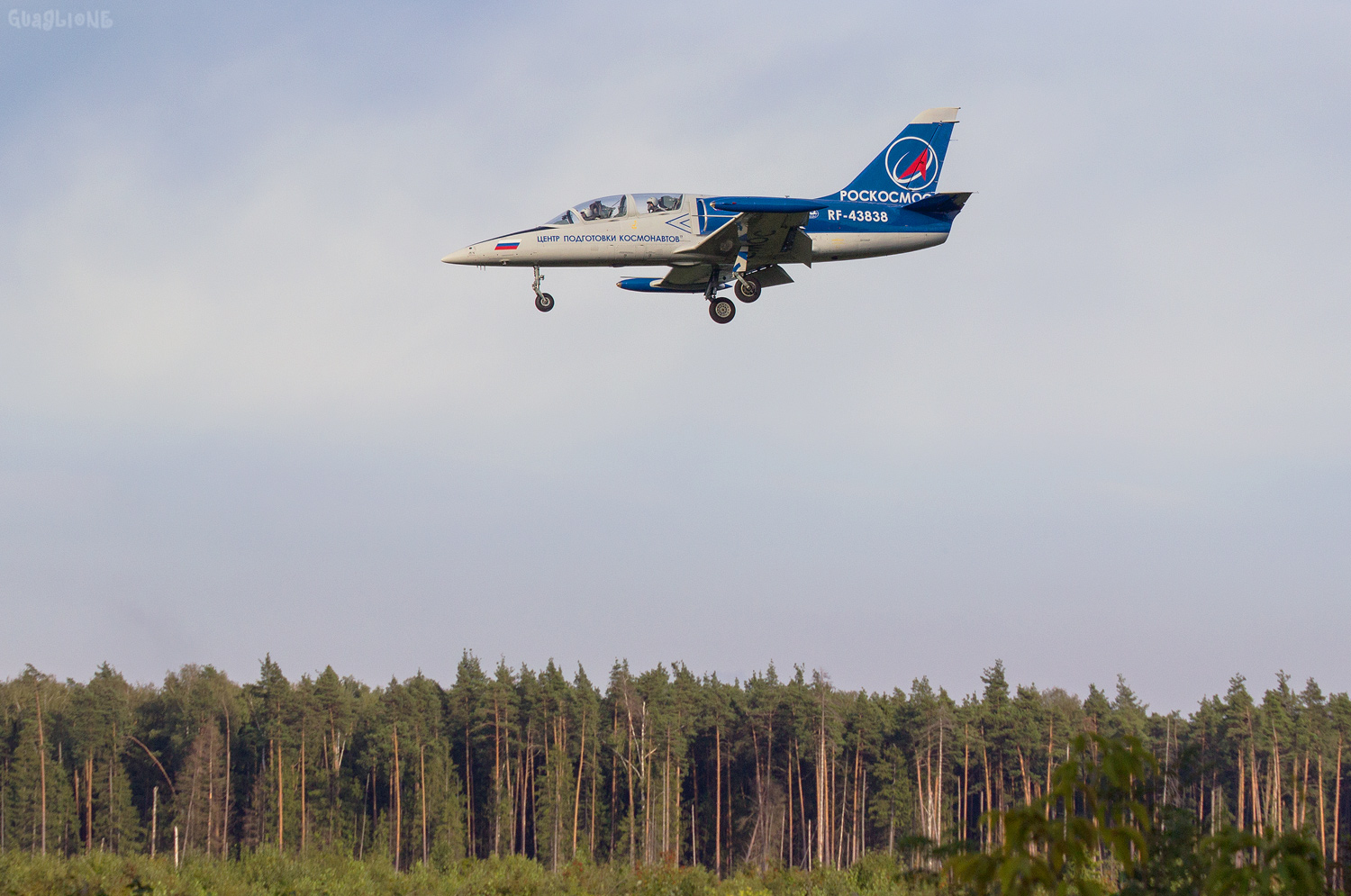 RF-43838