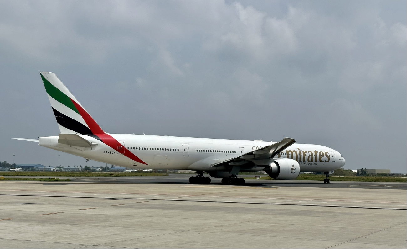 A6-ECM