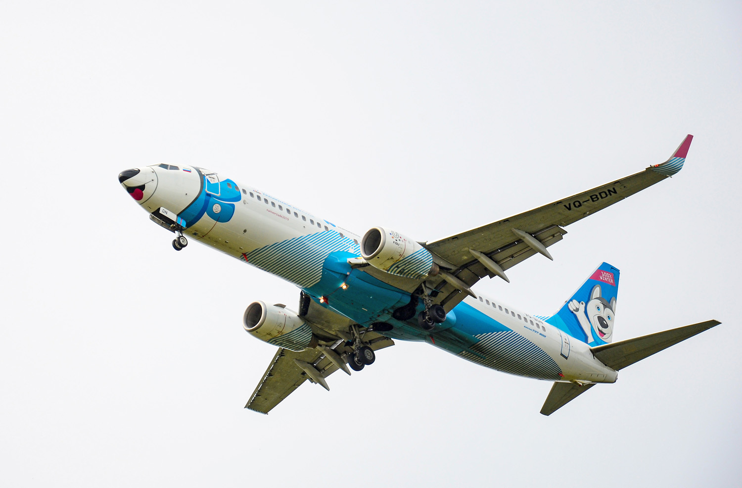 VQ-BDN