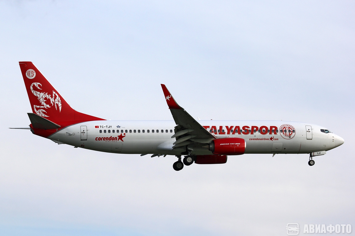 TC-TJY