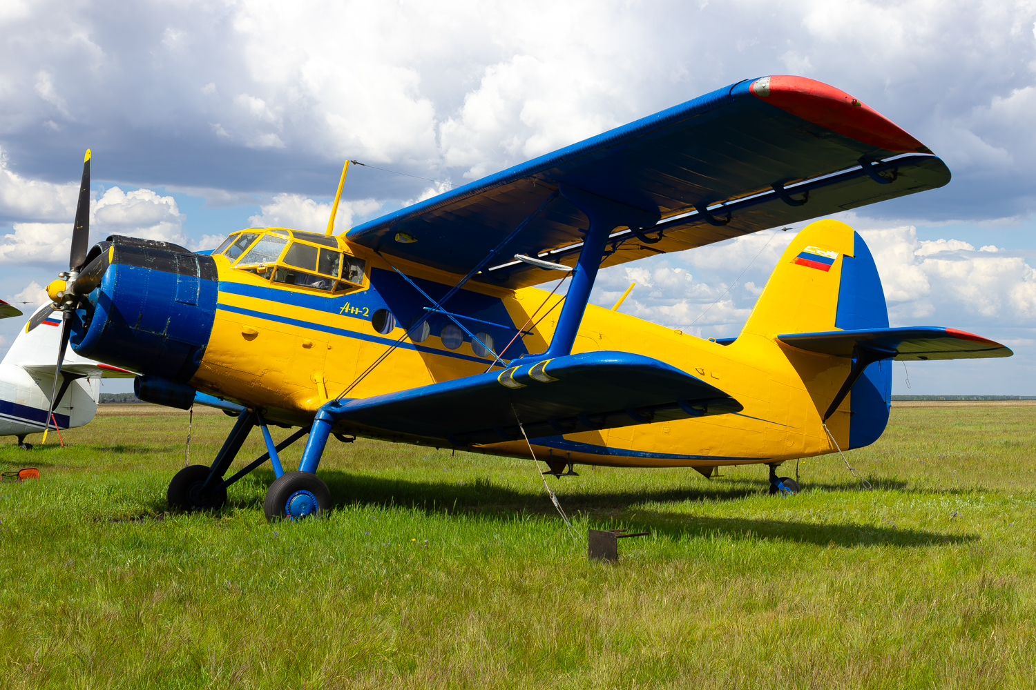 RF-00224
