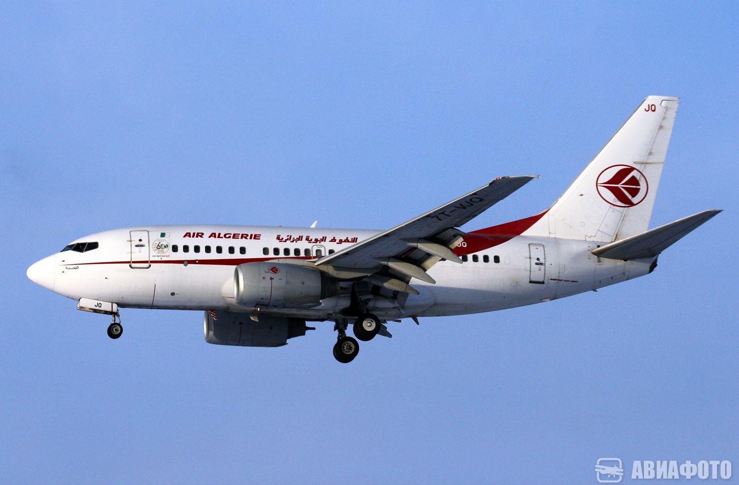 7T-VJQ