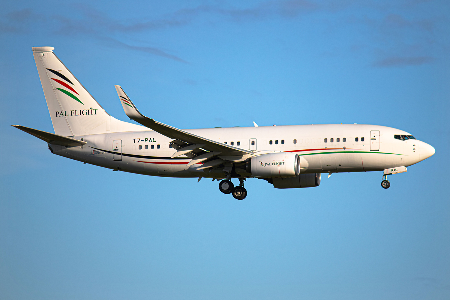 T7-PAL