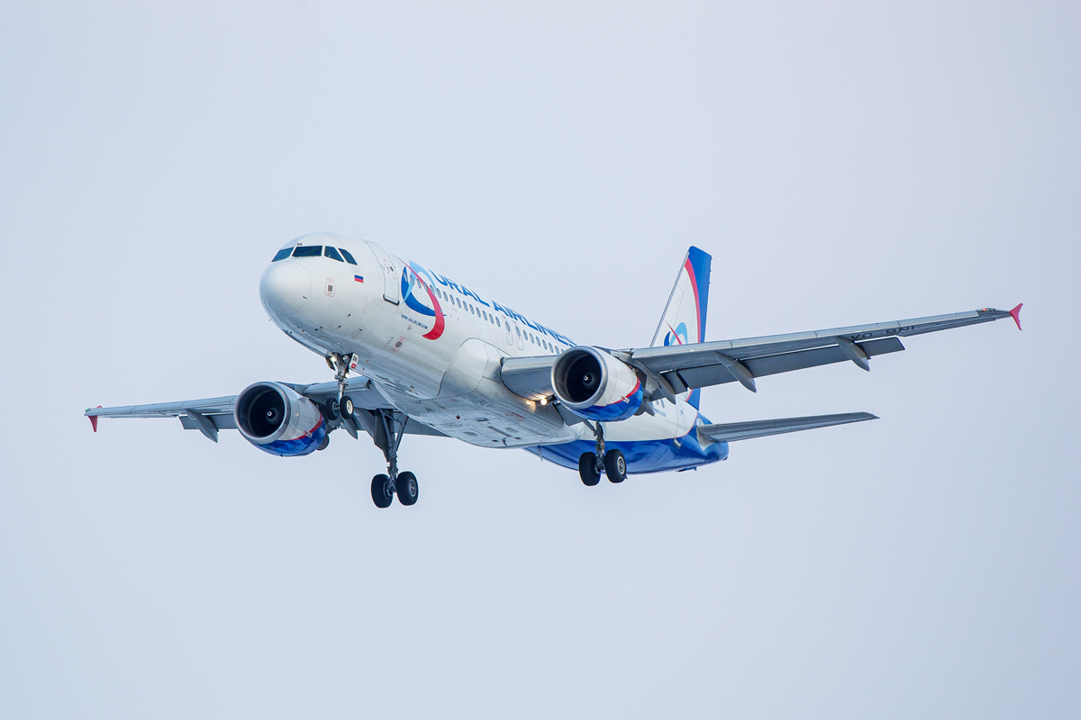 VQ-BNI