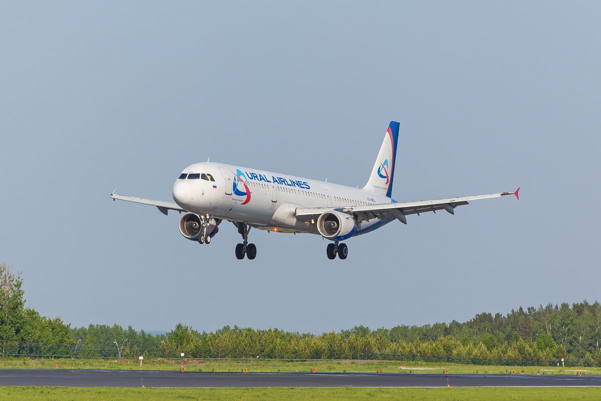 VQ-BKG