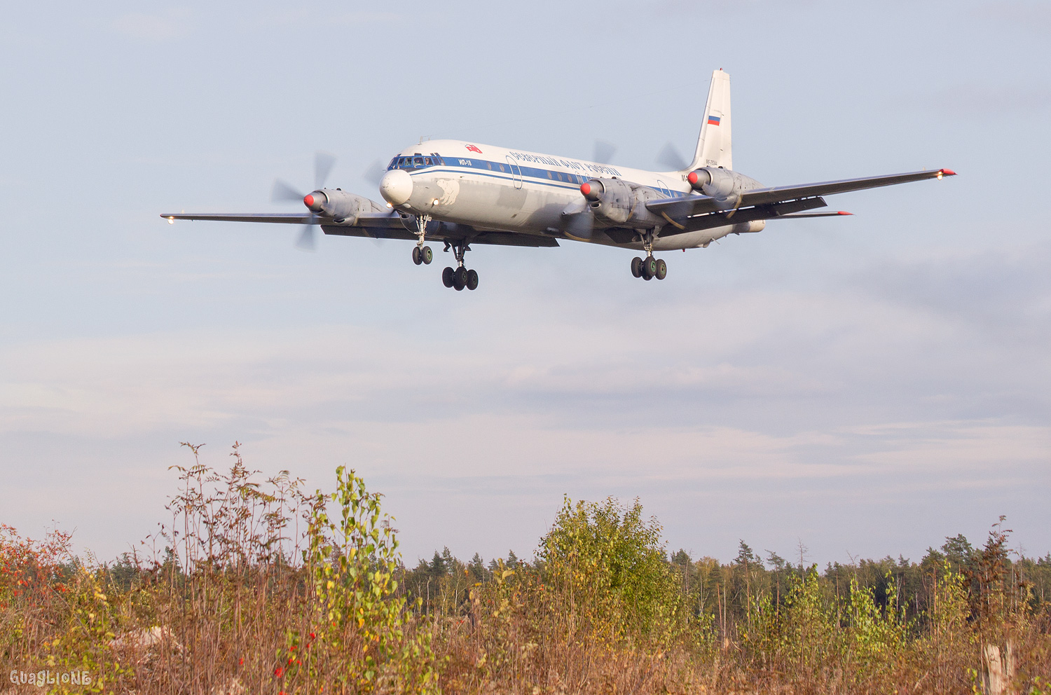 RF-75344