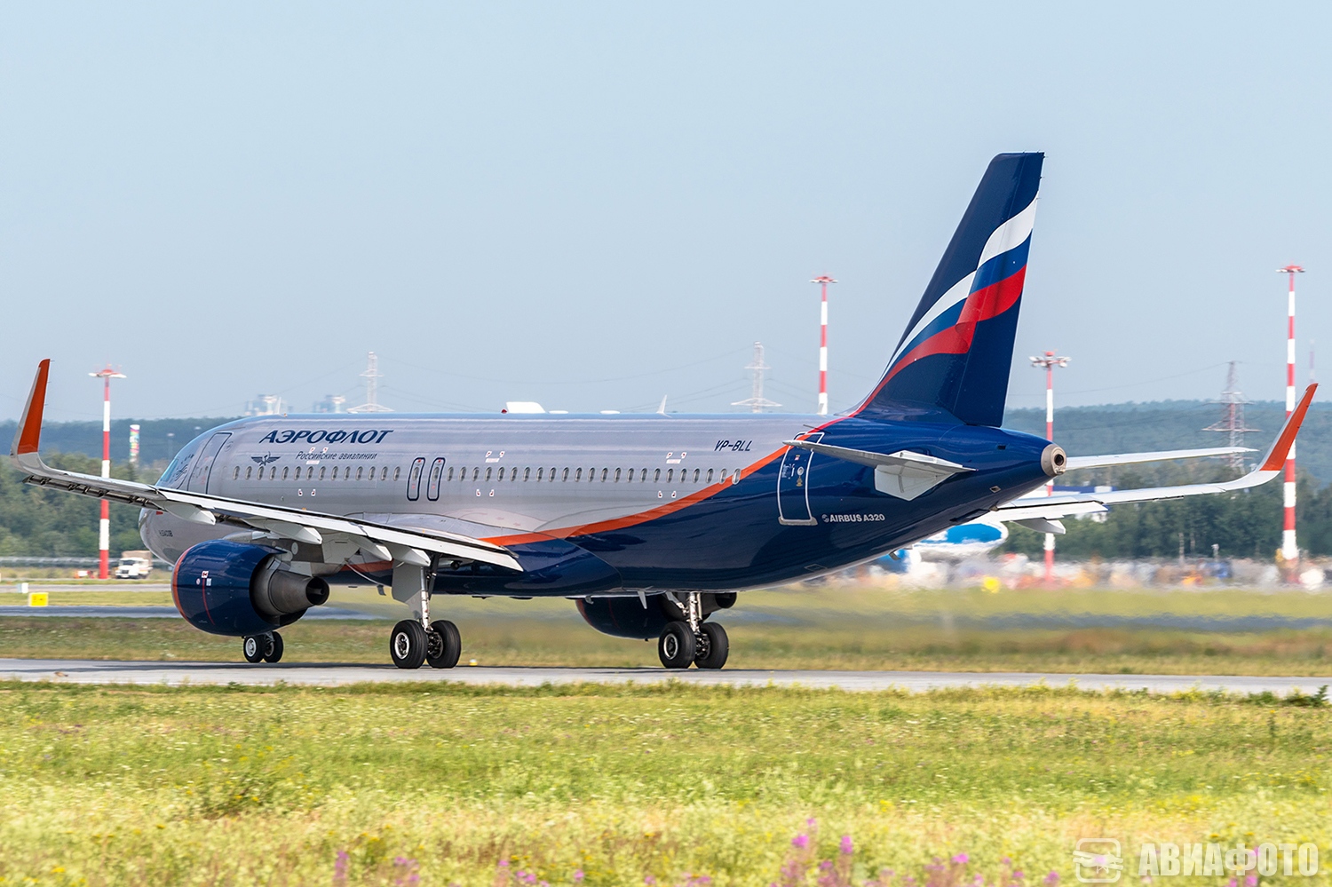 VP-BLL