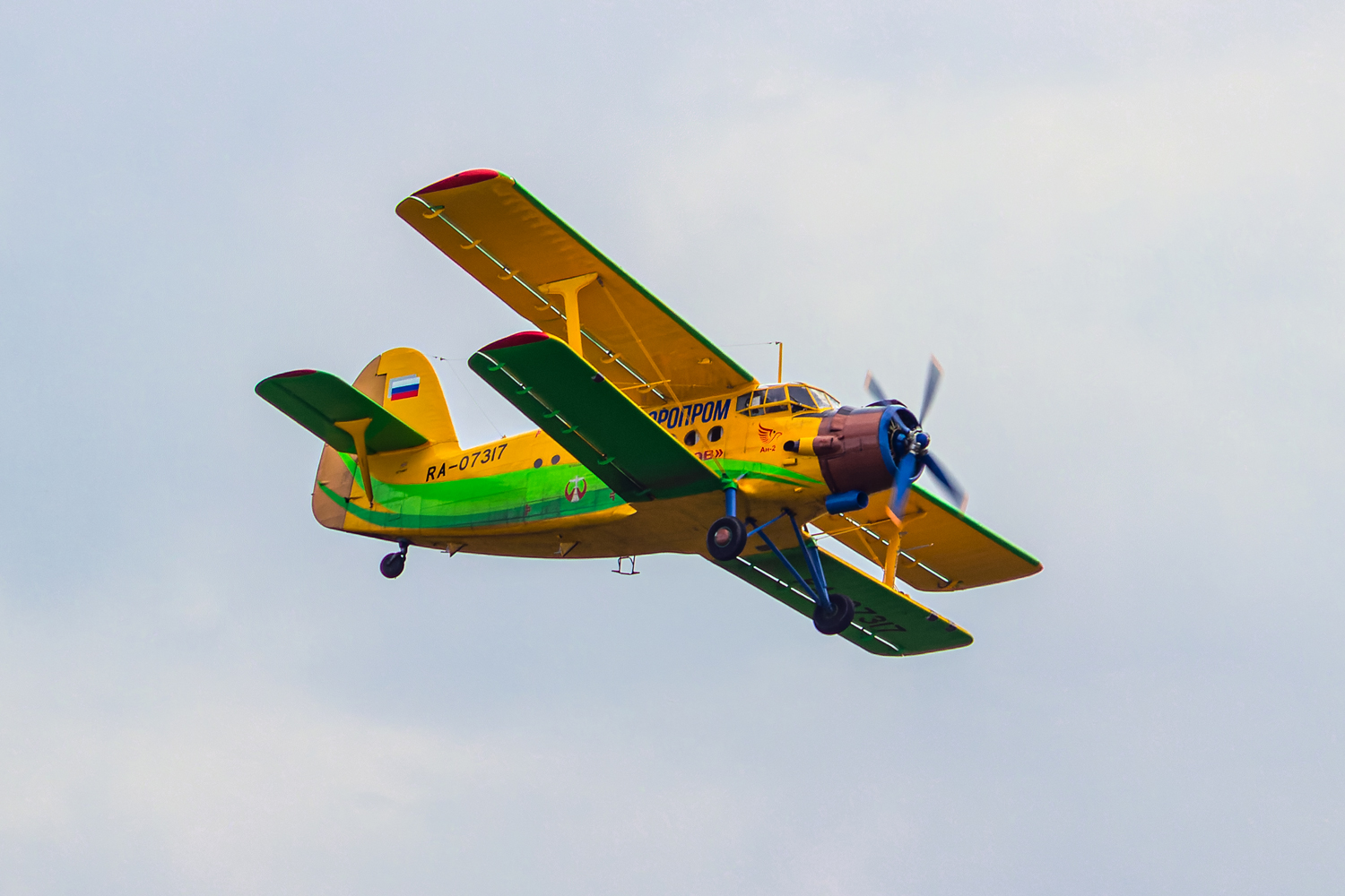RA-07317