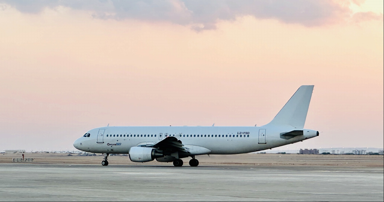 LZ-FSD