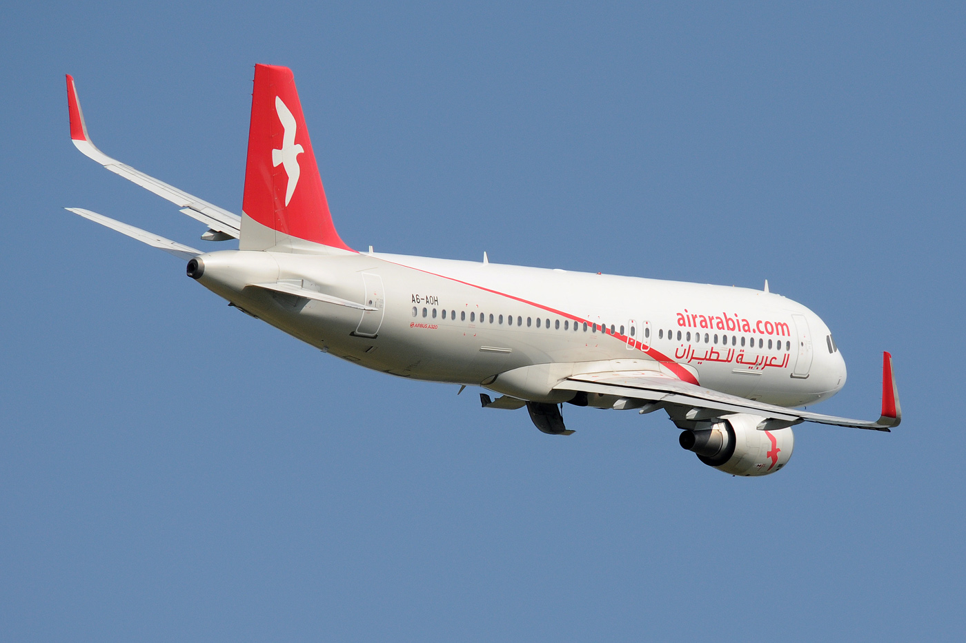 A6-AOH