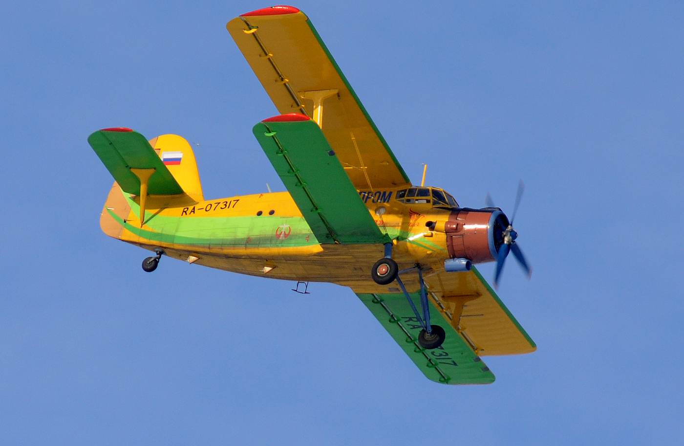 RA-07317