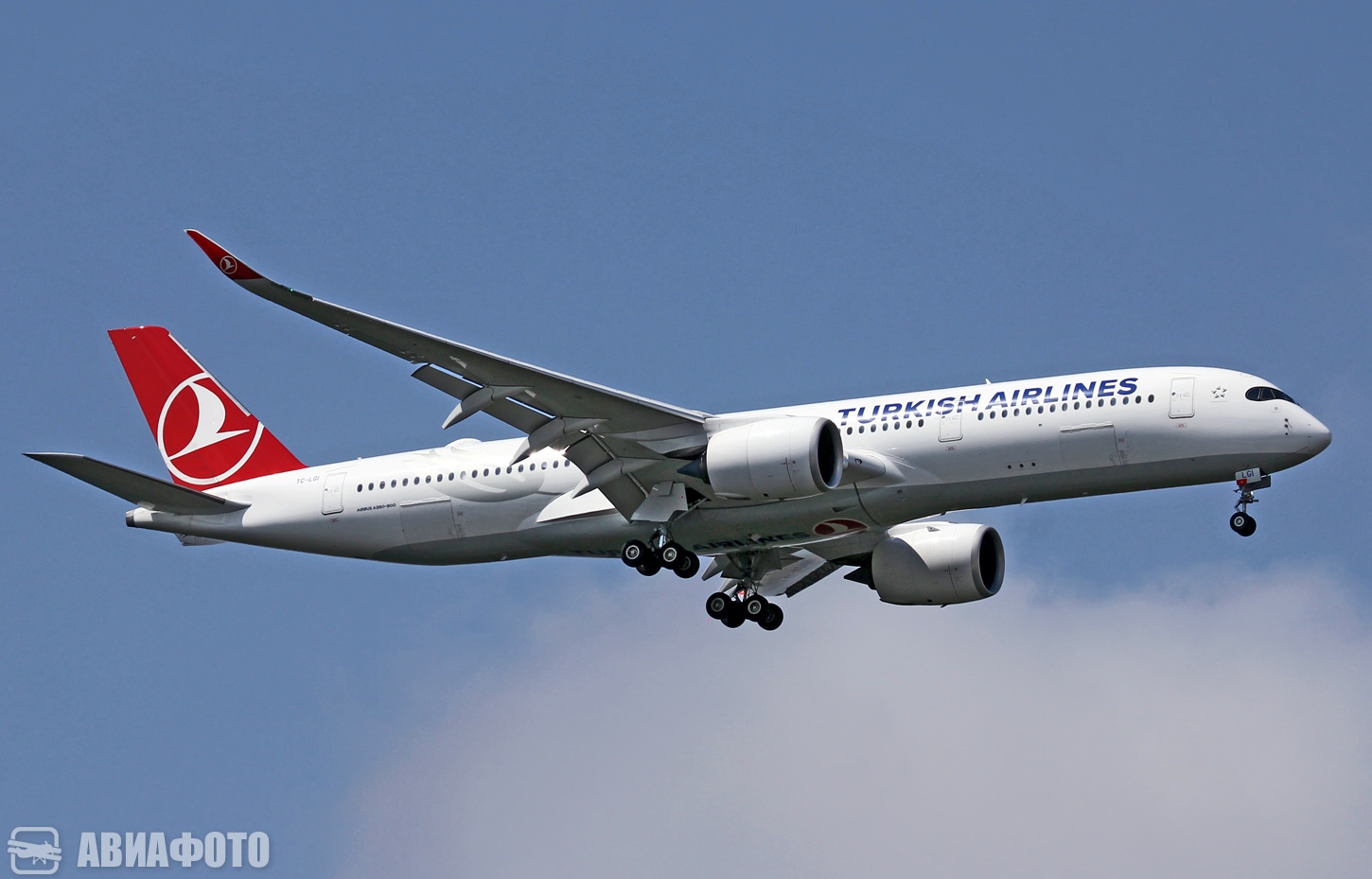 TC-LGI