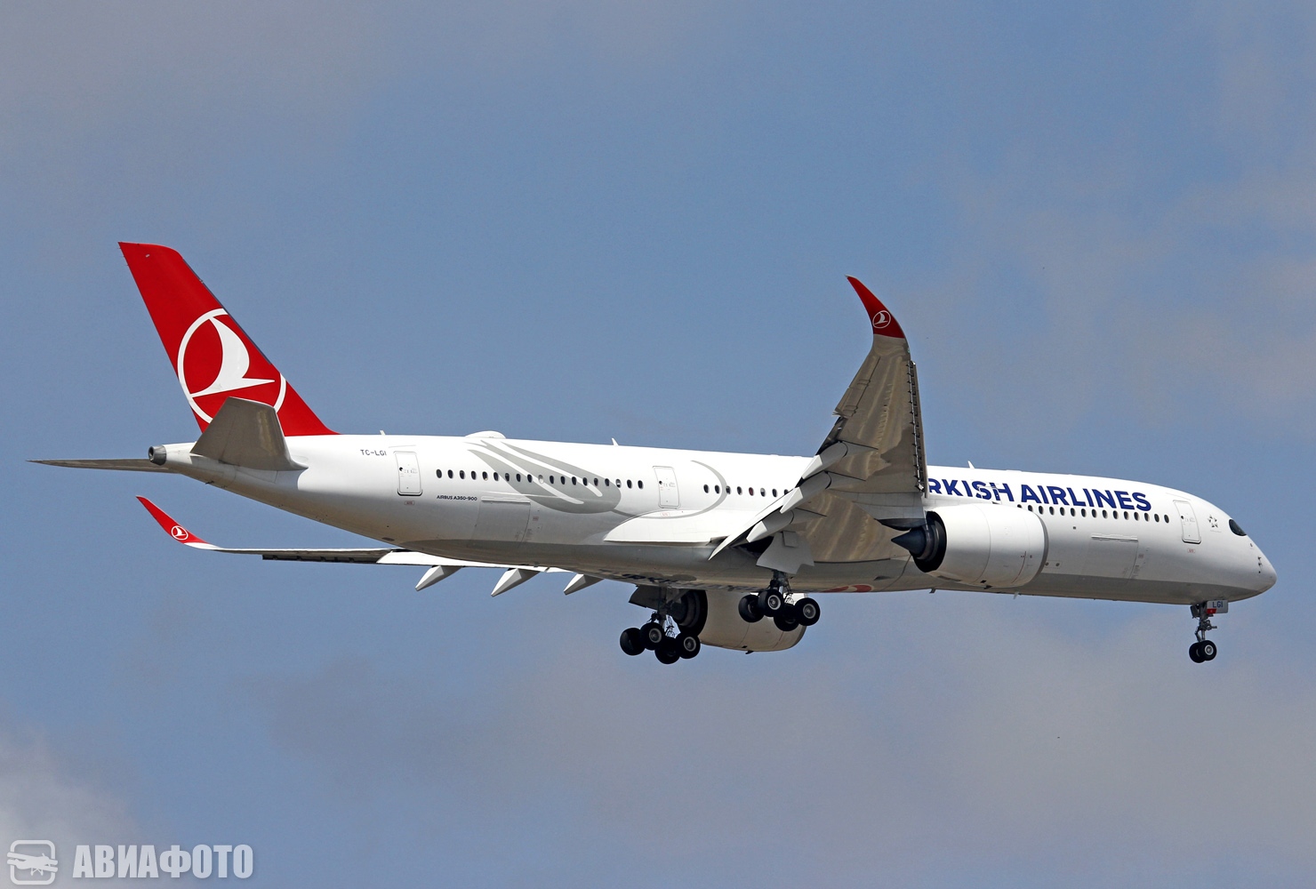 TC-LGI