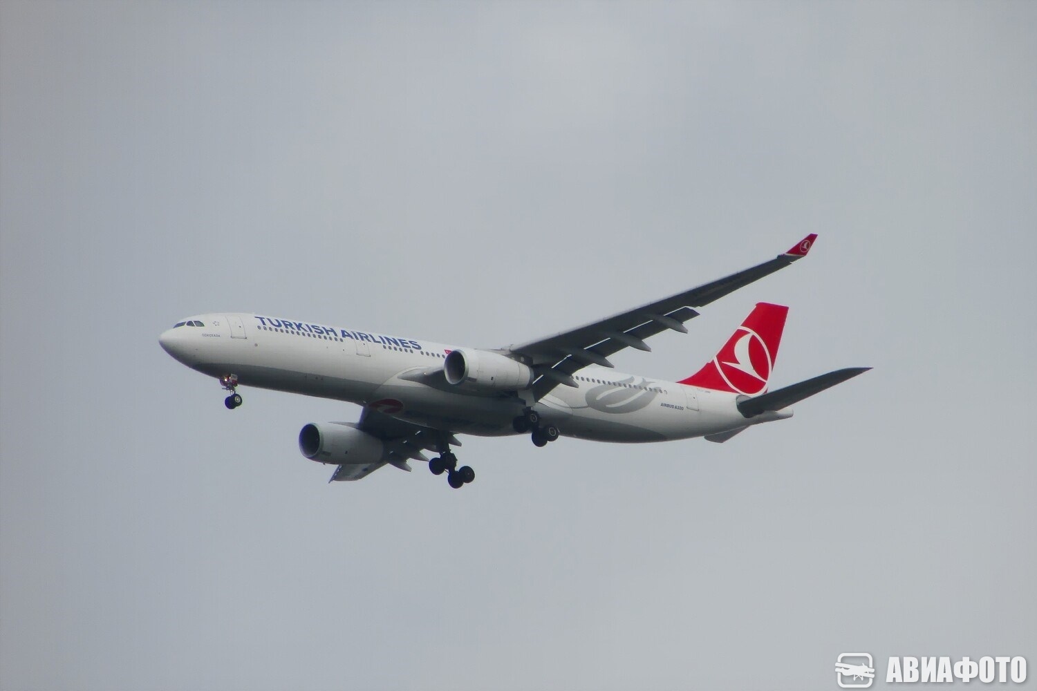 TC-JNP
