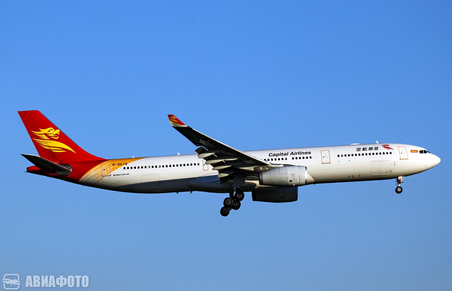 B-8678