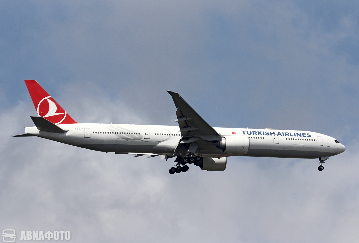 TC-LJA