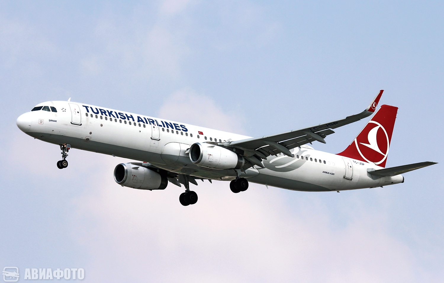 TC-JSP