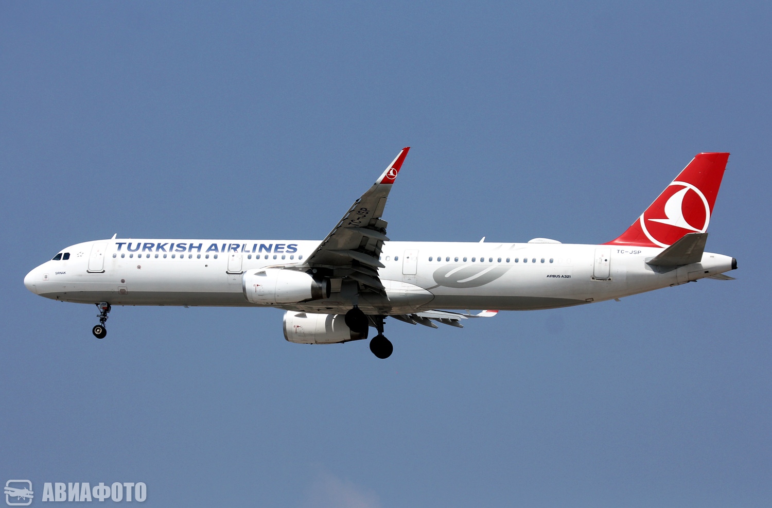 TC-JSP
