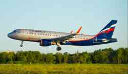 3929 КБ