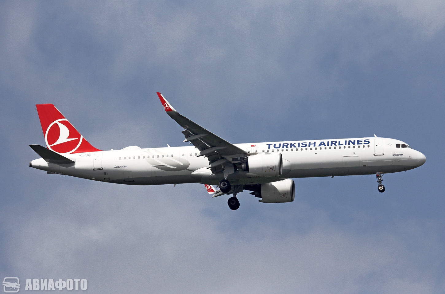 TC-LSS