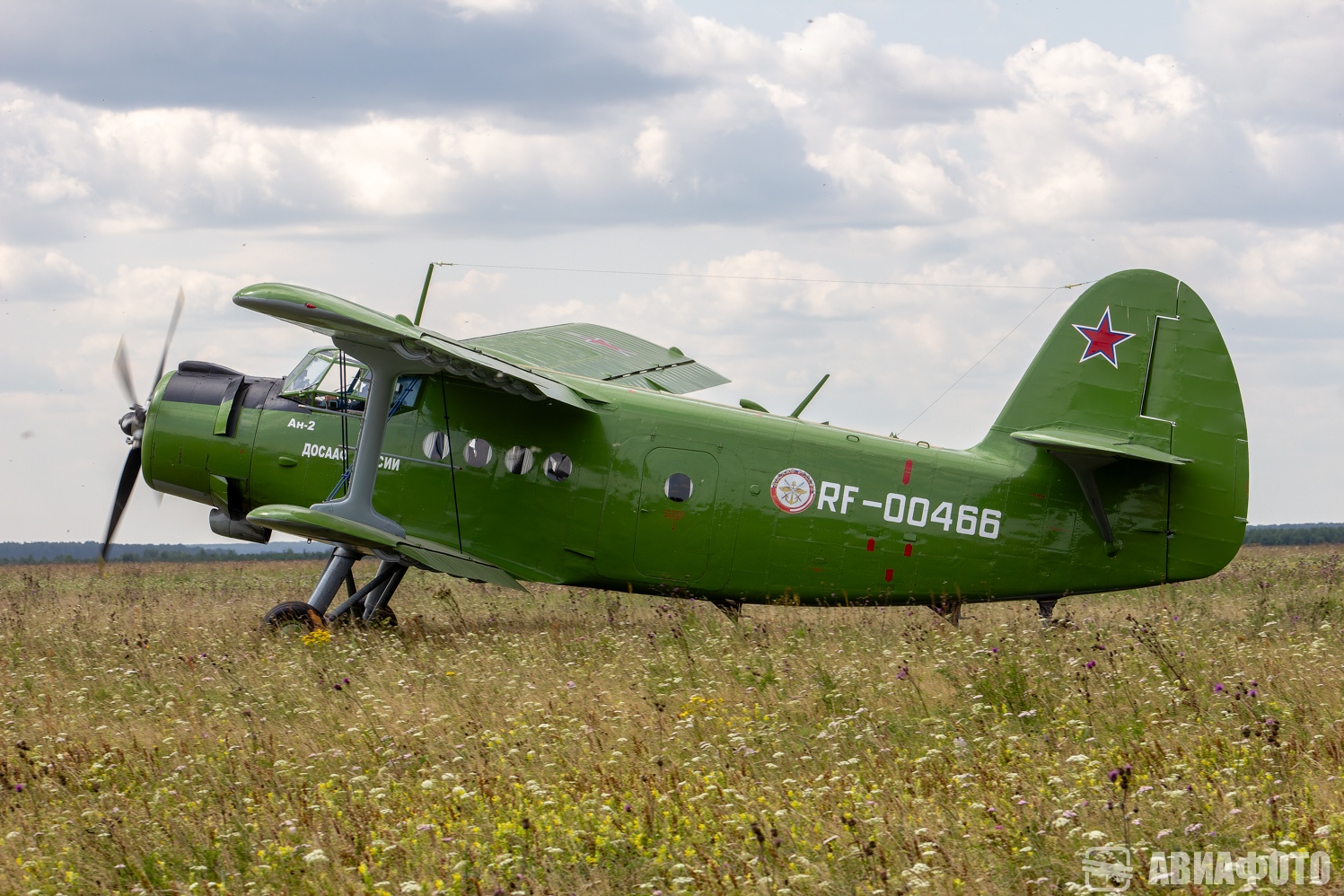 RF-00466
