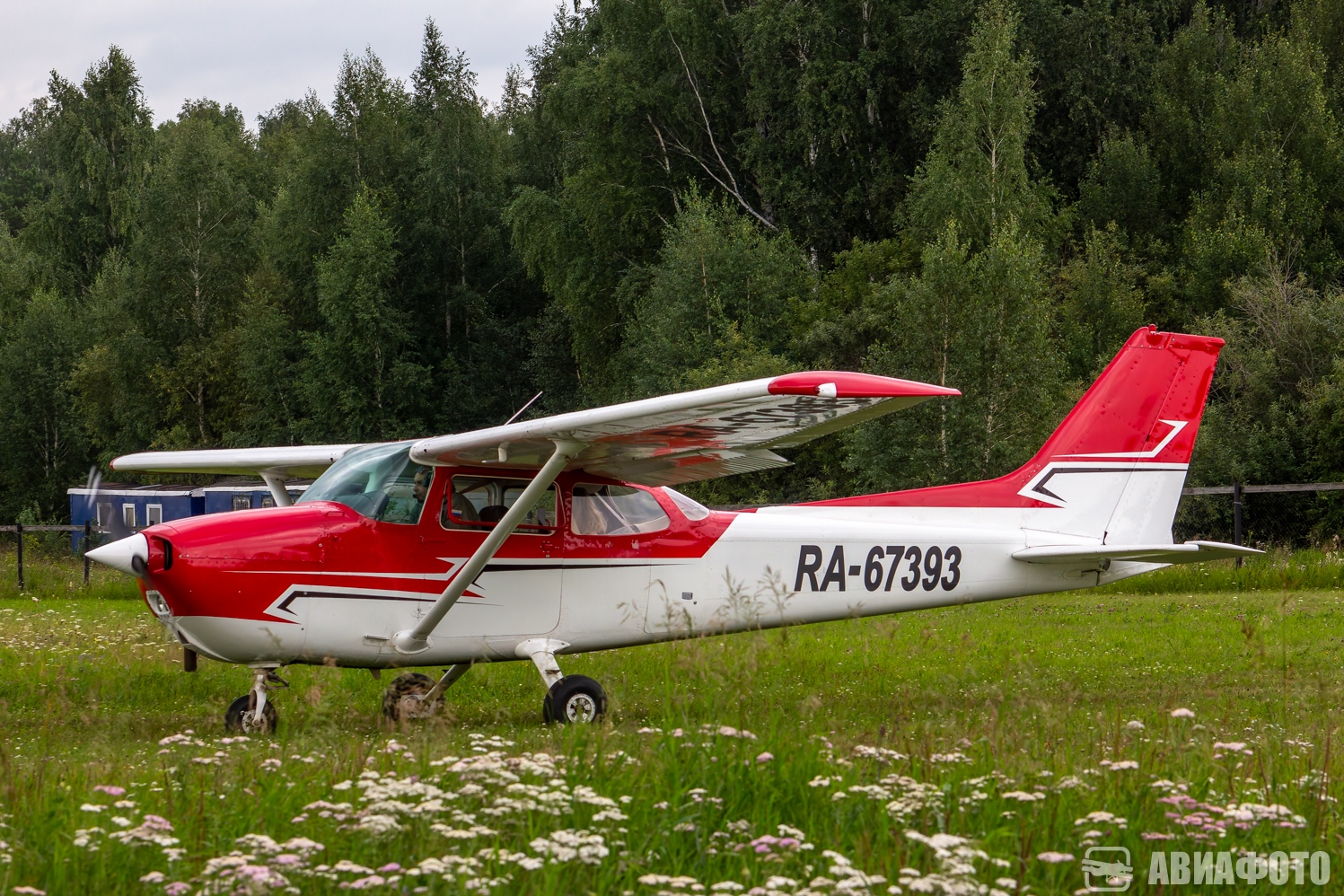 RA-67393
