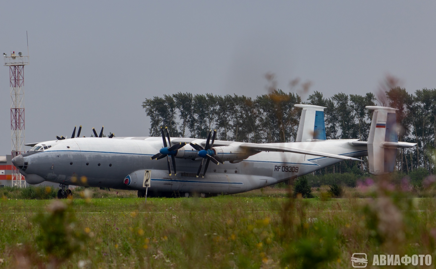 RF-09309