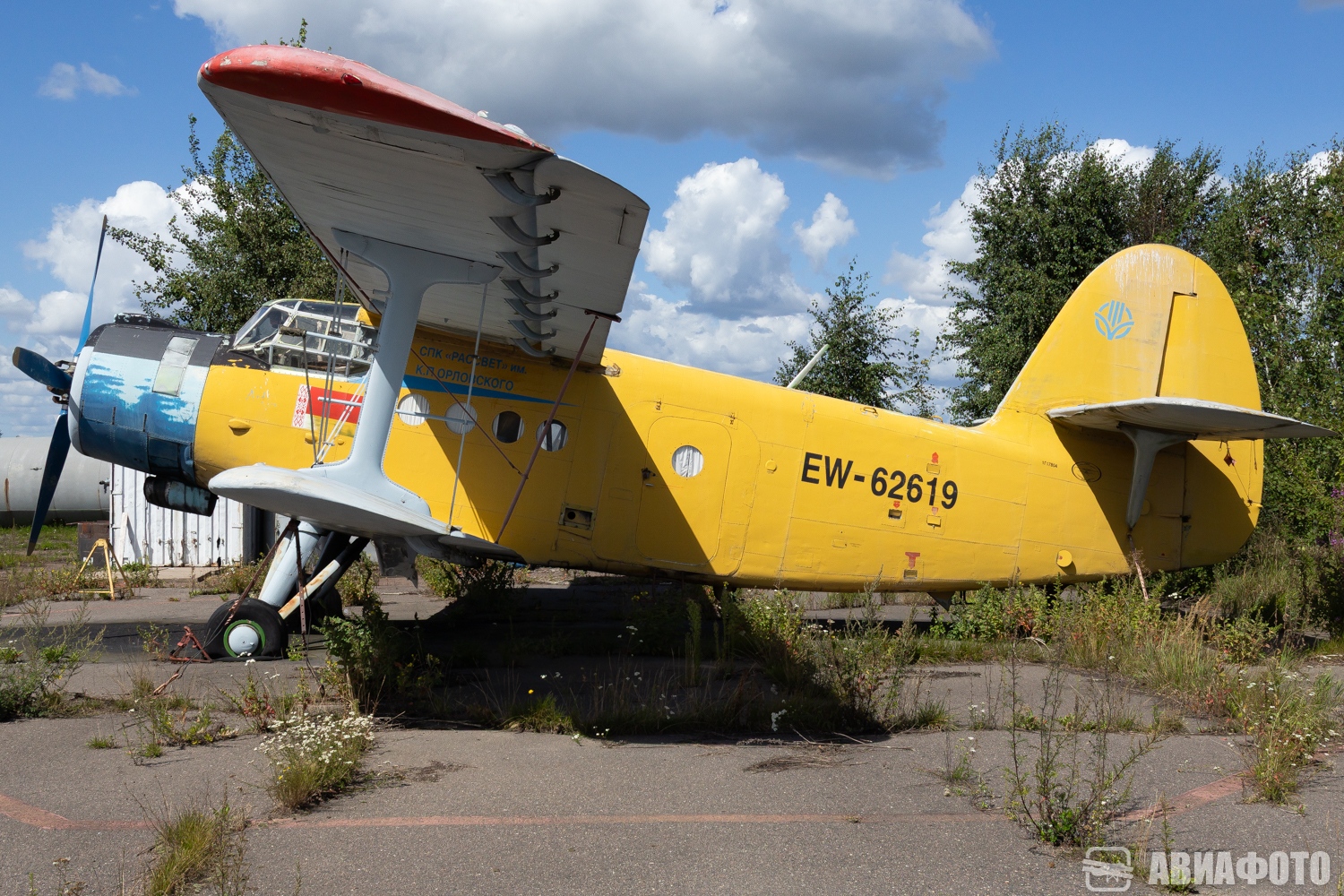 EW-62619