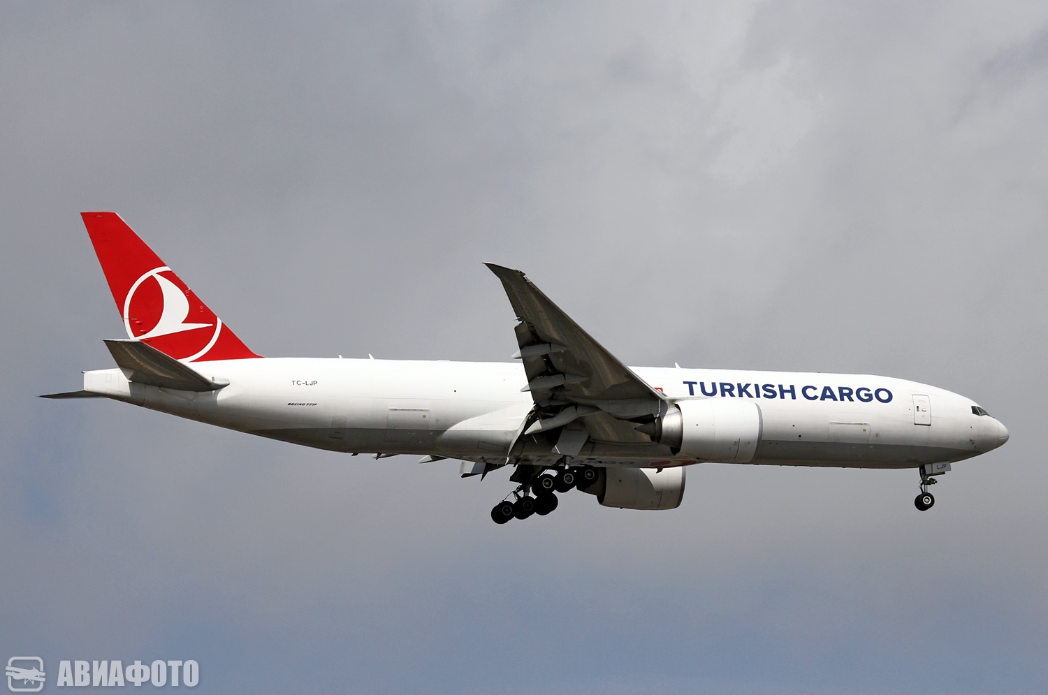 TC-LJP
