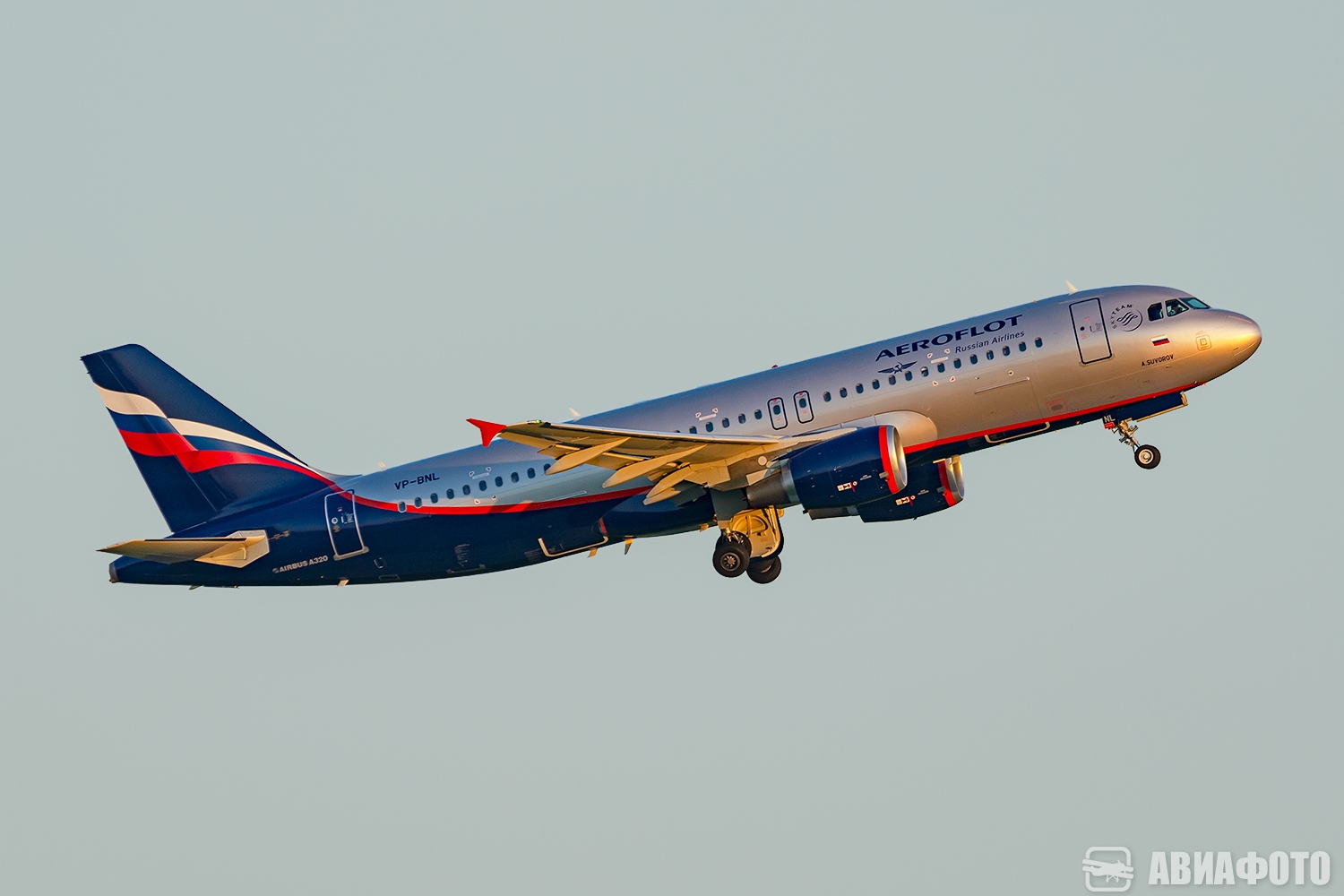 VP-BNL