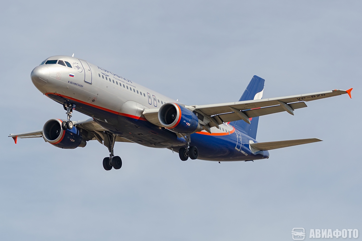 VP-BZR
