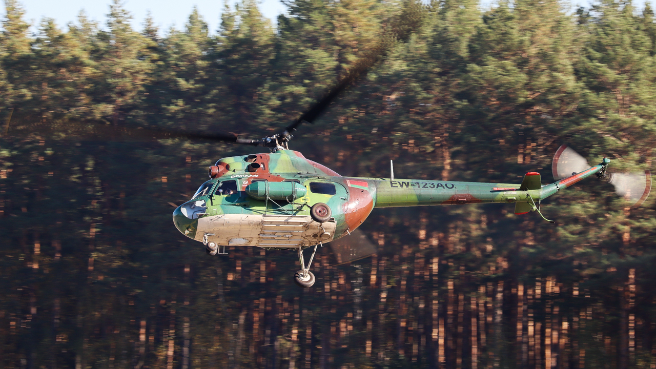 EW-123AO. Парады и шоу