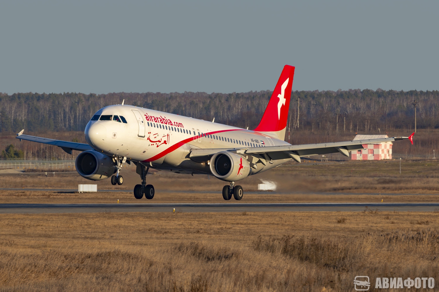 A6-ABO