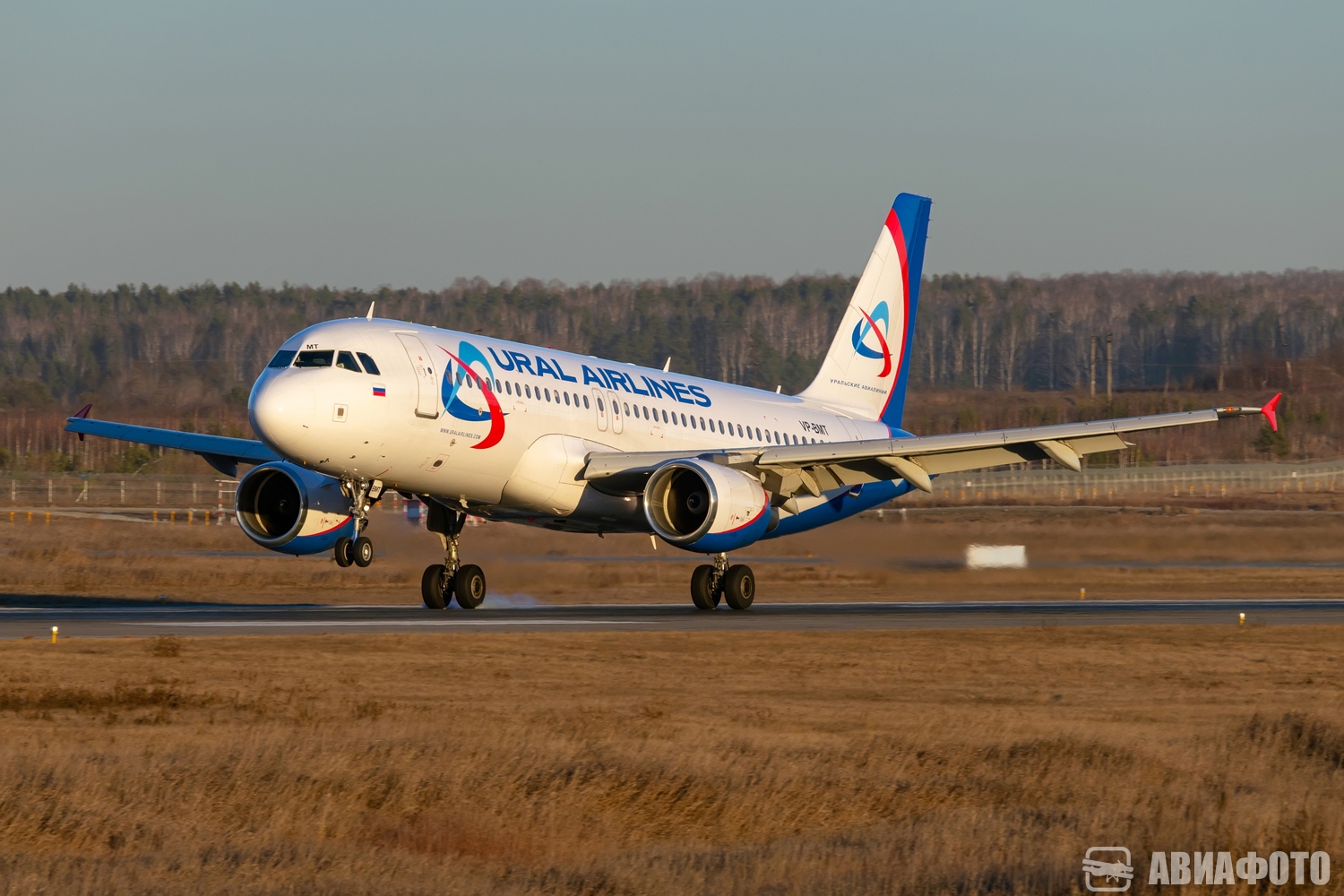 VP-BMT