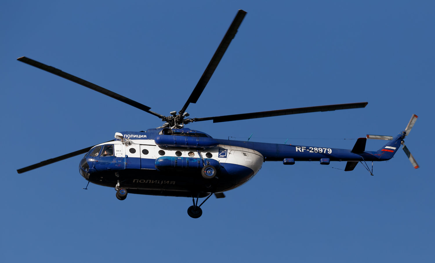 RF-28979
