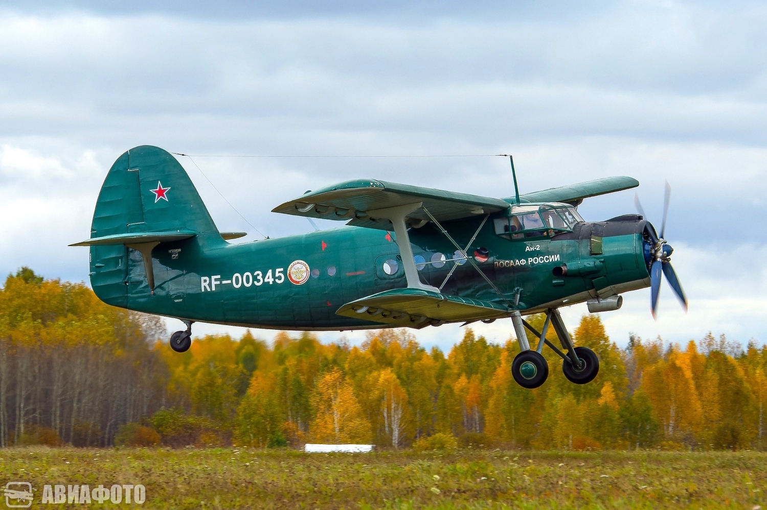 RF-00345