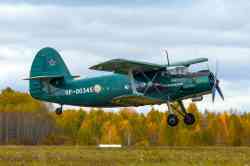 981 КБ