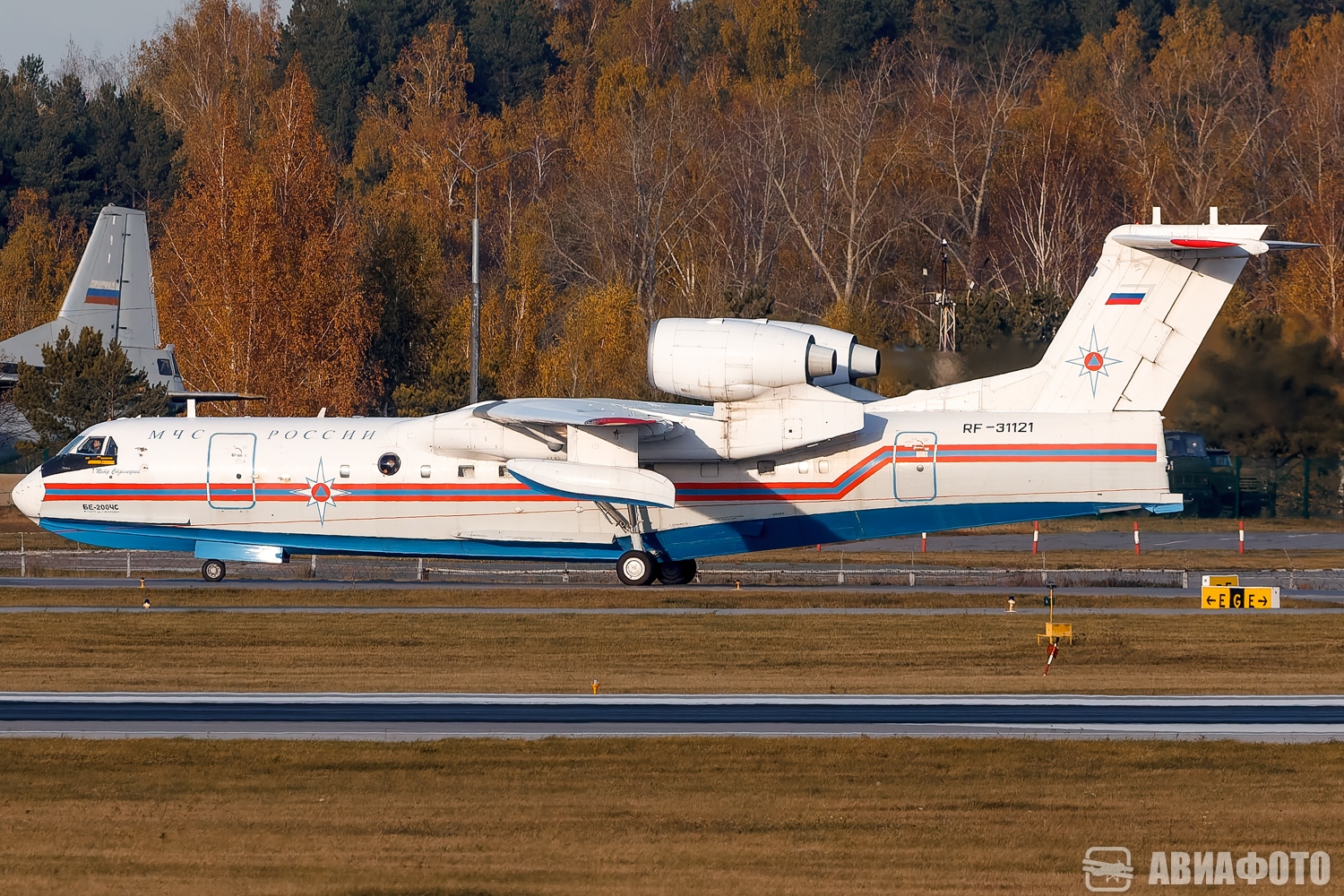 RF-31121