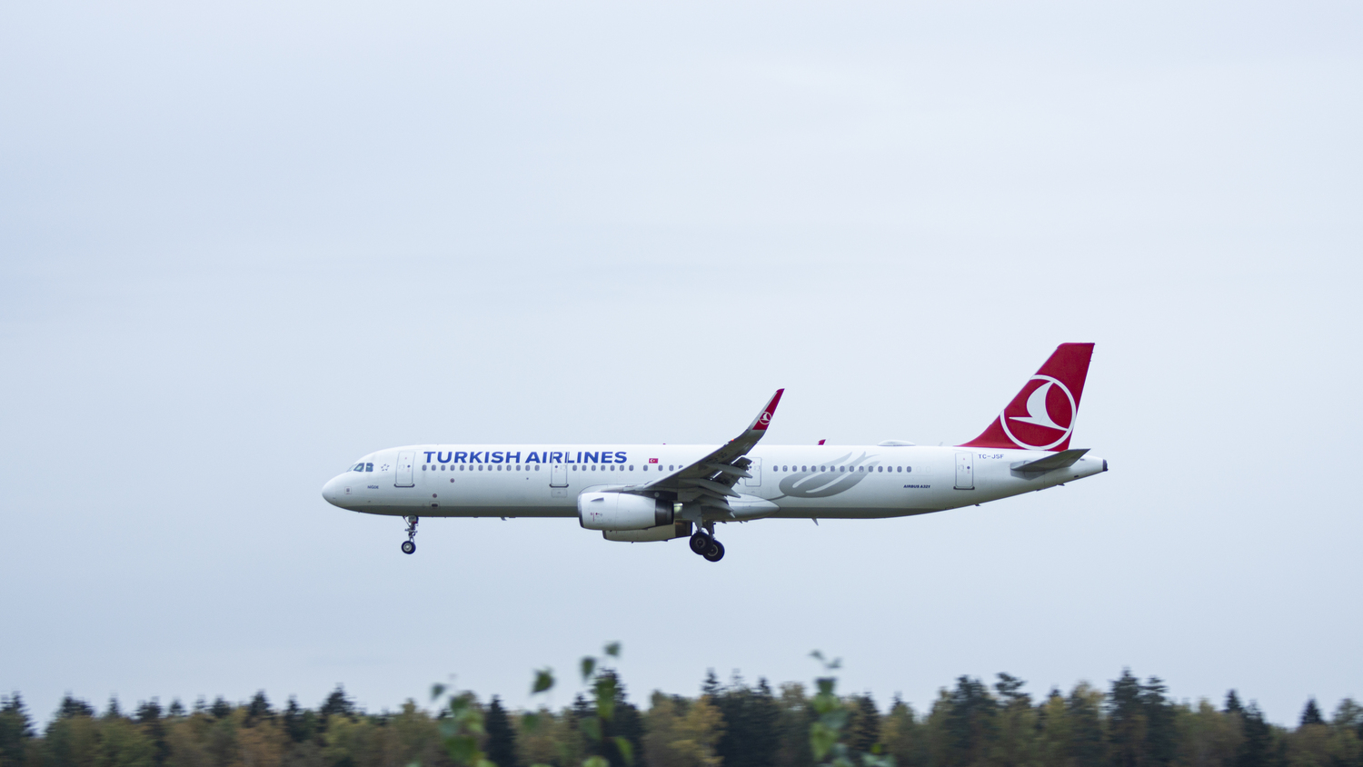 TC-JSF