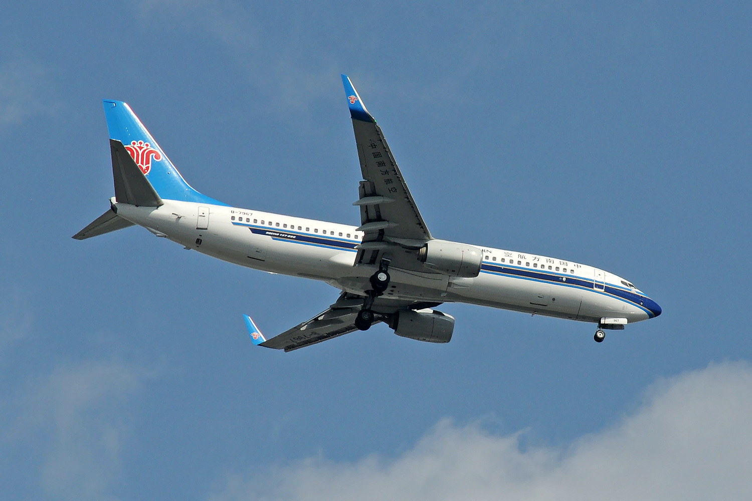 B-7967