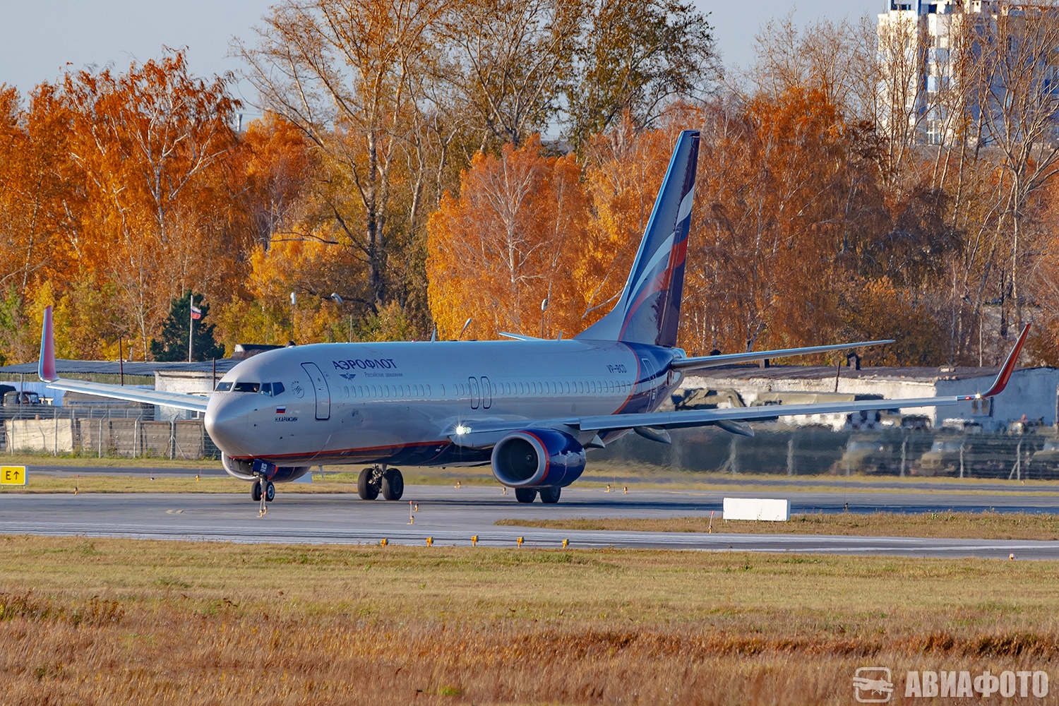 VP-BCD
