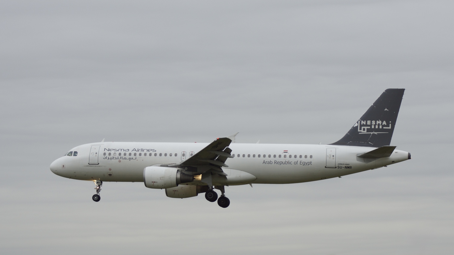 SU-NMR