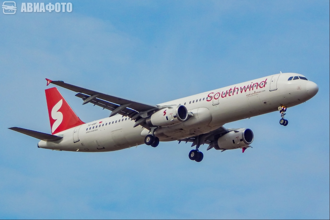 TC-GRF