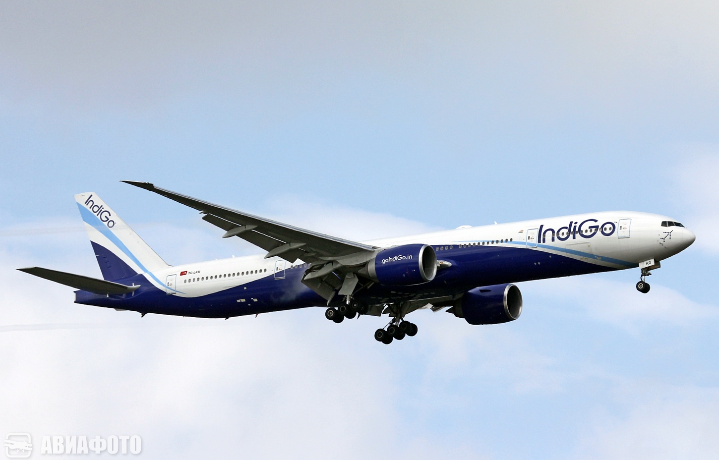 TC-LKD