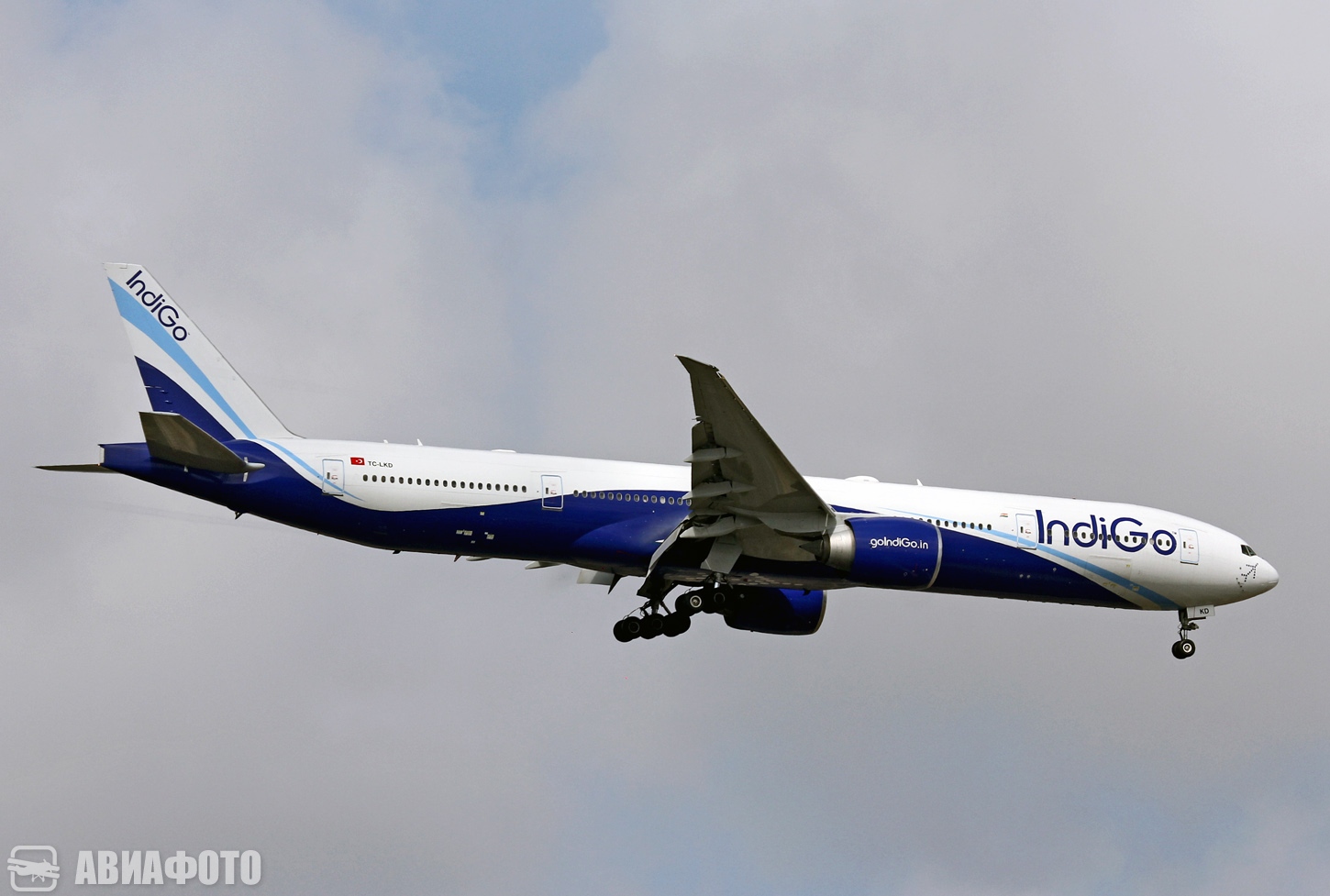 TC-LKD